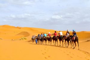 1-night-camel-trekking desert